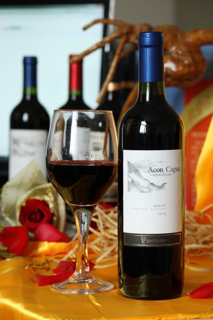 San Pedro Acon Cagua Merlot