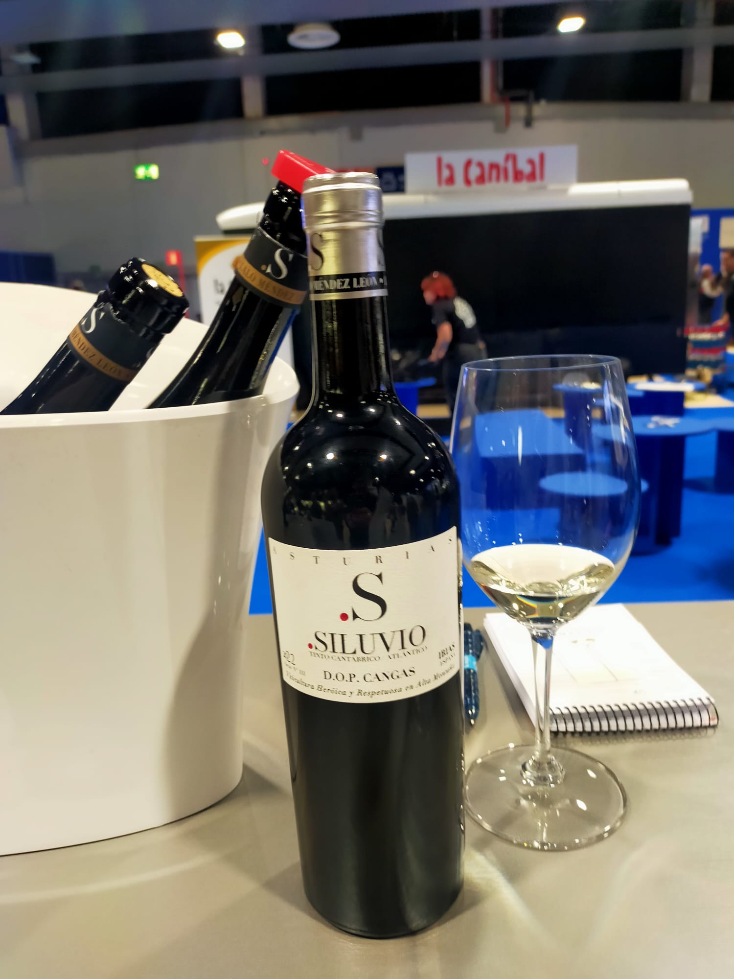 Siluvio Tinto Siluvio Tinto