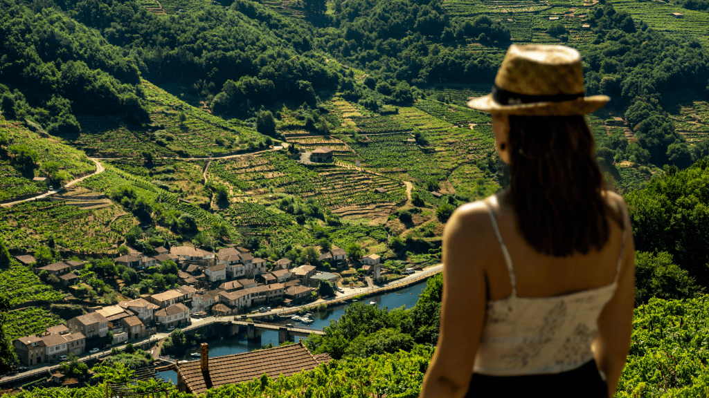 Wine Tourism Award Wine Tourism Award