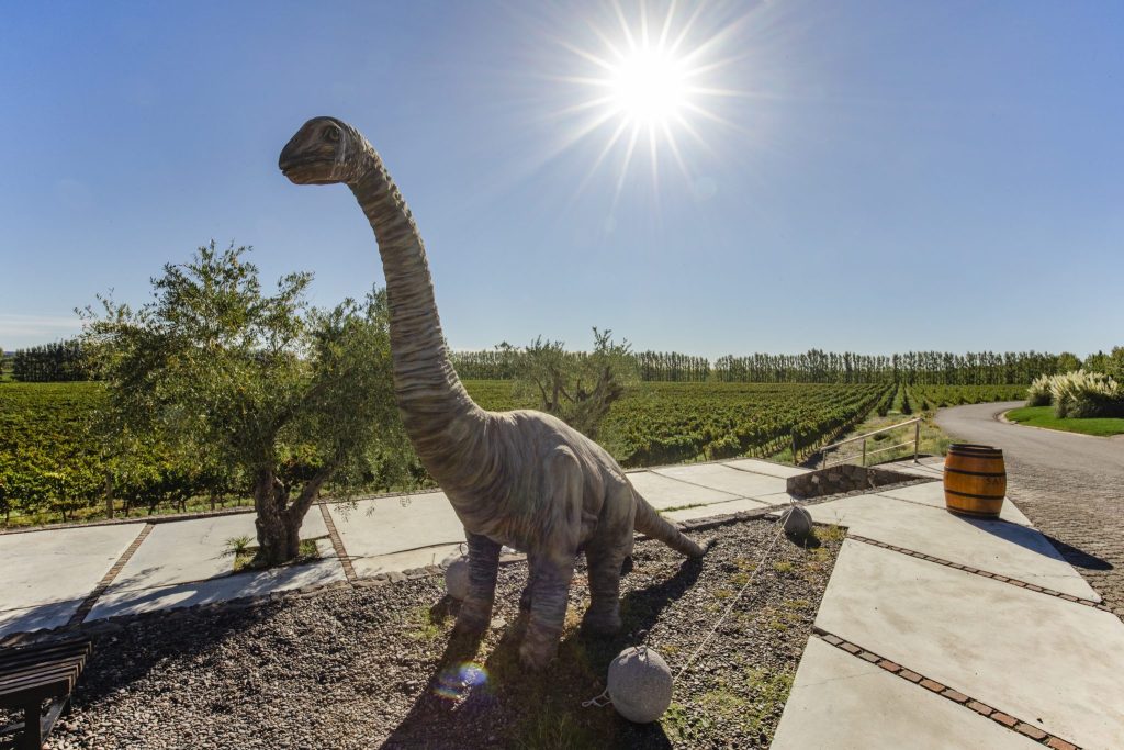 Wine tourism in argentine Patagonia Wine tourism in argentine Patagonia