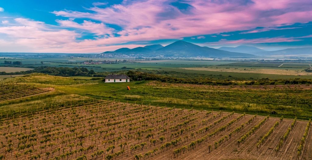 pequeñas regiones vinícolas que producen grandes vinos pequeñas regiones vinícolas que producen grandes vinos