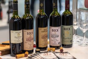 Bock, la bodega familiar de Villány que convierte el vino en una experiencia completa
