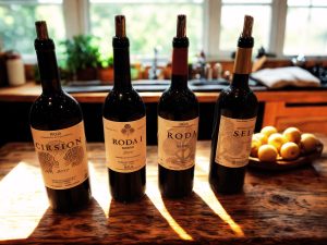 El paisaje convertido en vino: el universo de Bodegas Roda