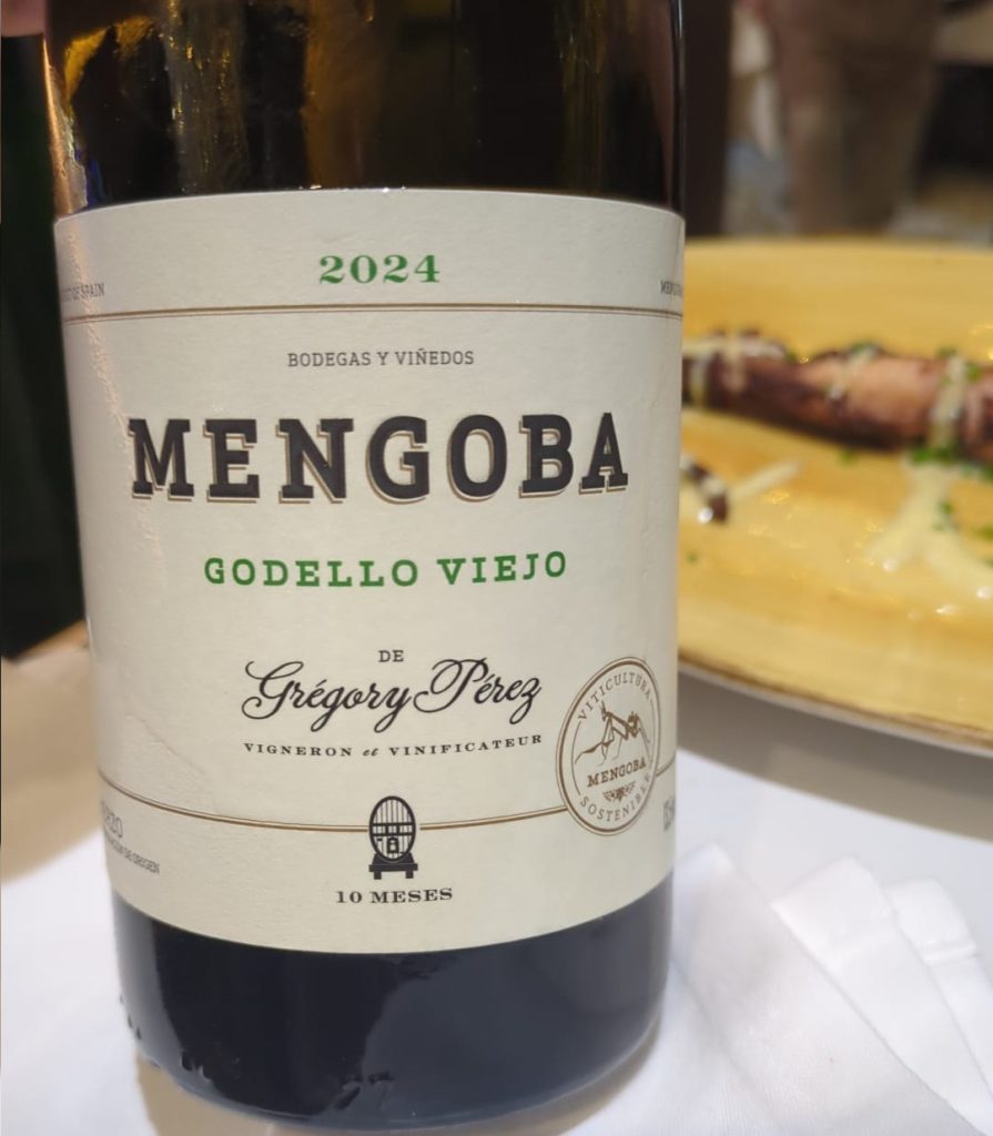 Mengoba Godello Viejo 2024