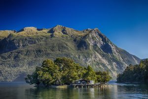Las grandes rutas del vino del mundo (XIV): Marlborough y Central Ontago, las antípodas del vino