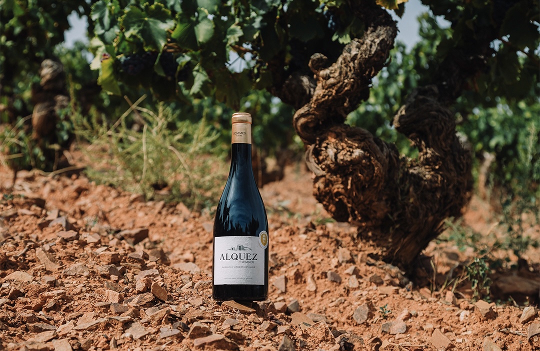 Bodega SOMMOS Garnacha Bodega SOMMOS Garnacha