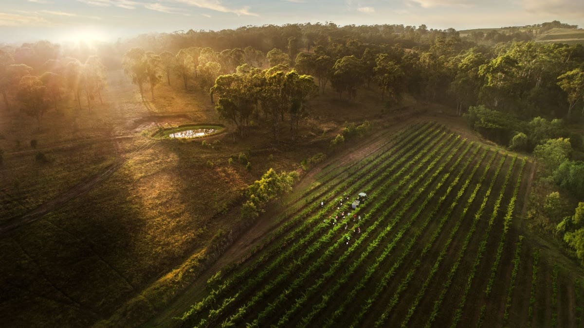 mejor fotografía de vino del mundo mejor fotografía de vino del mundo
