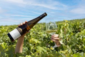 Sommos Colección Gewürztraminer 2025, Medalla de Oro en los premios Baco 2026