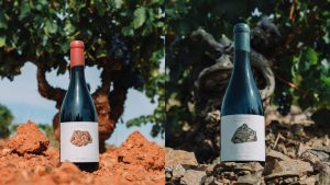 Araia y Tiaso 2022, los vinos de la D.O.P. Calatayud mejor valorados por el prestigioso ‘Master of Wine’ Tim Atkin