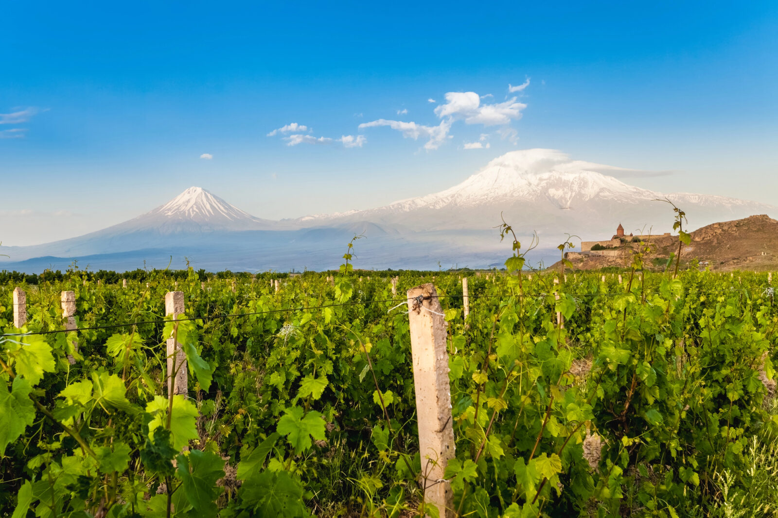 Armenia Armenia