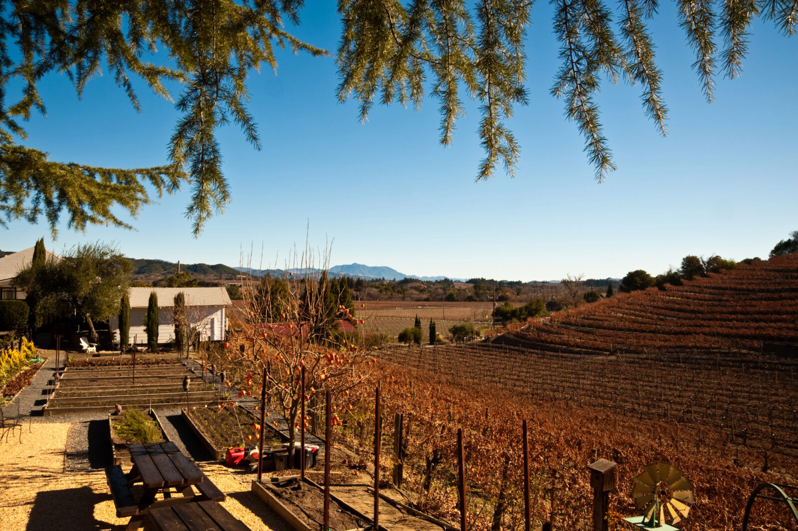 Sonoma Valley Sonoma Valley