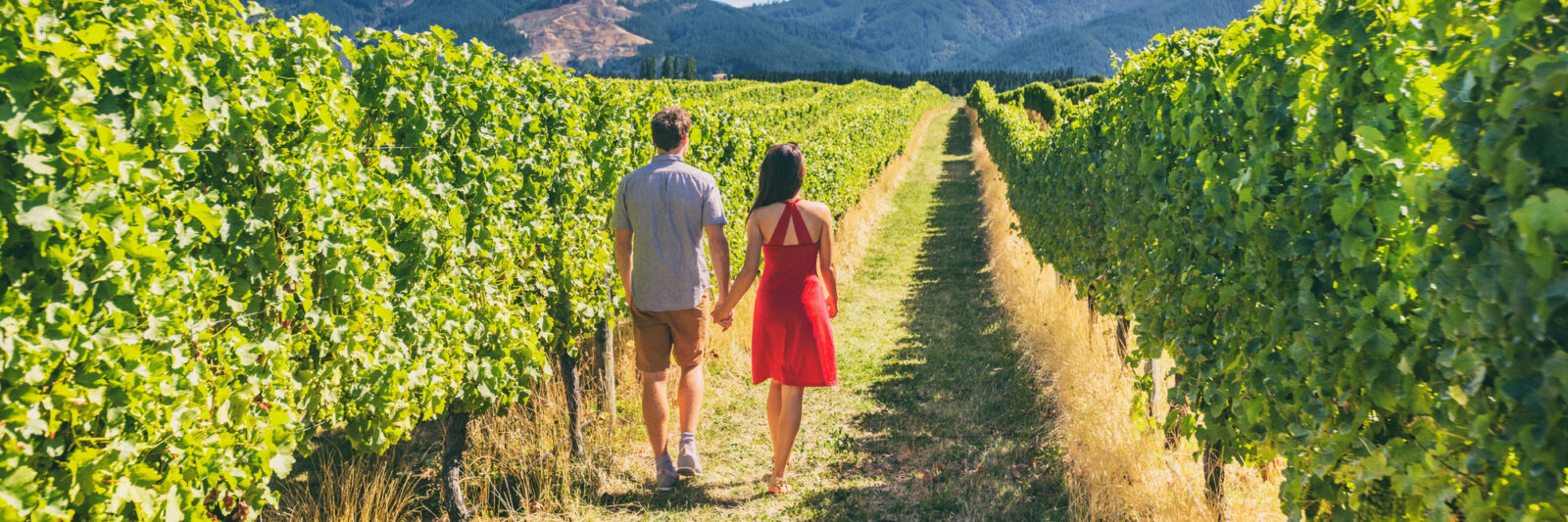 Enoturismo en verano una pareja paseando entre viñedos
