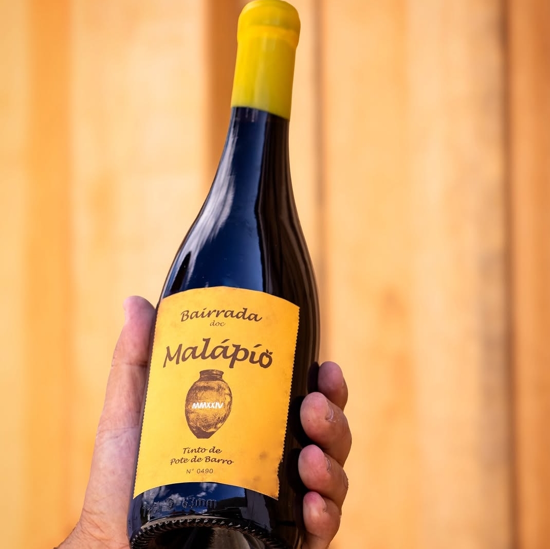 Malápio 2024 Tinto de Pote de Barro Botella del vino Malápio 2024 Tinto de Pote de Barro