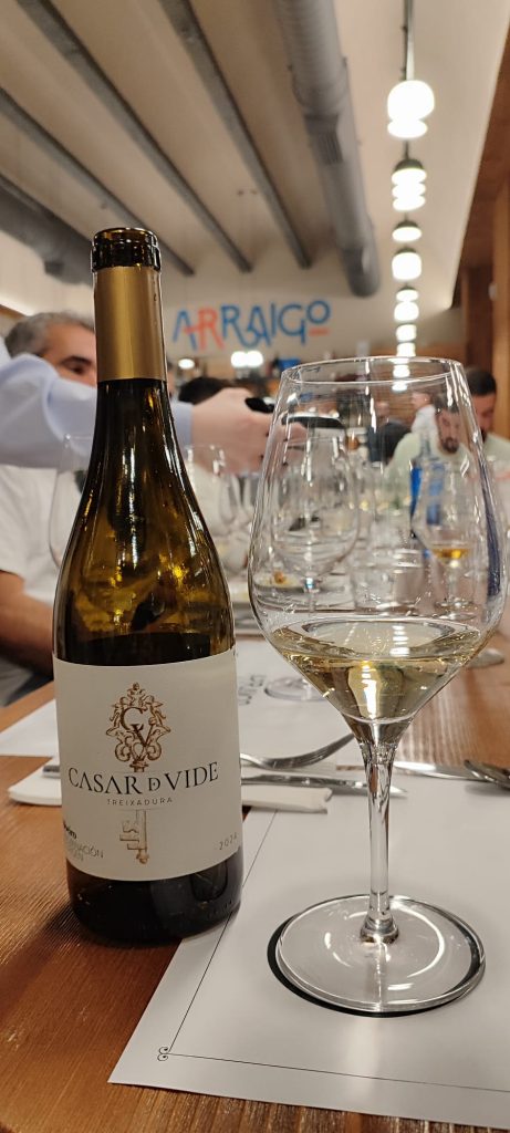 Botella de Casar de Vide 2024