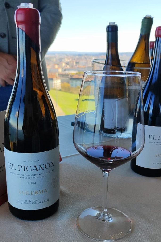 El Picañón 2024 copa y botella del vino El Picañón 2024
