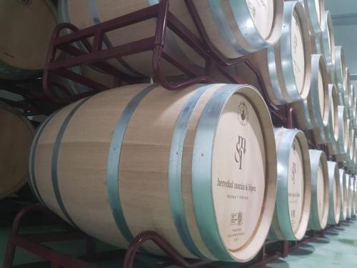 06a42d1f-9279-471c-8cbe-0c1d398aea63