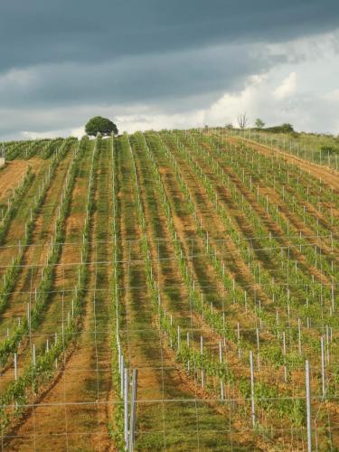 0e7d11b4-e15c-4f84-9040-58af1525c650