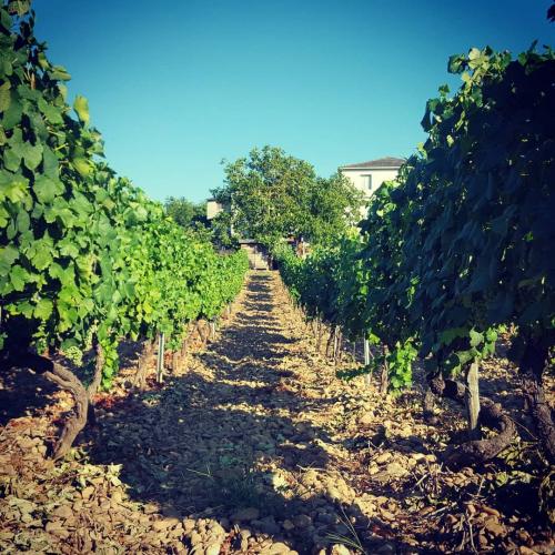 115822608 10224511843449899 3474497534003970778 o