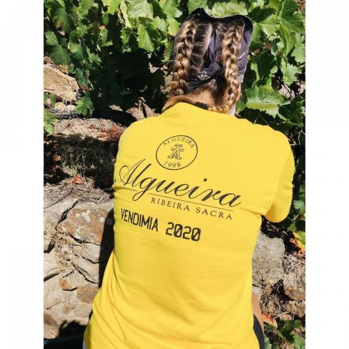 118676818 3844633148885396 4957131764467769620 o