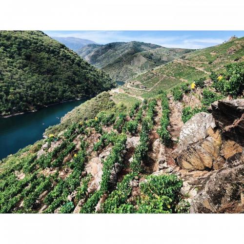 118692696 3844633142218730 8884354525215779259 o