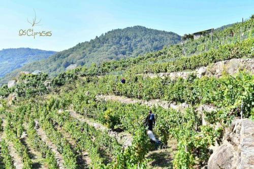 119004557 3763901066974783 4933929632106385840 o