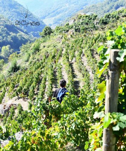 119432635 3773668622664694 8942649379819428098 o