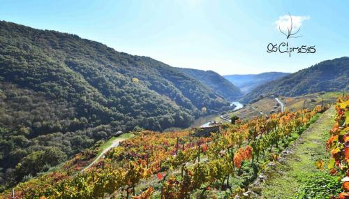 124152612 3943872378977650 2736319432494731068 o