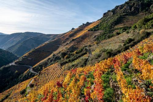 124159989 3412769652176598 2296664053923376857 o