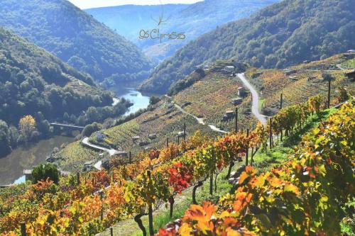 124166713 3943860382312183 5585820574372931856 o