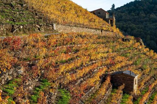 124180072 3412771365509760 7069497890536267982 o