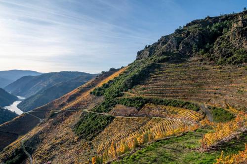 124401412 3412771095509787 4714278602288023801 o