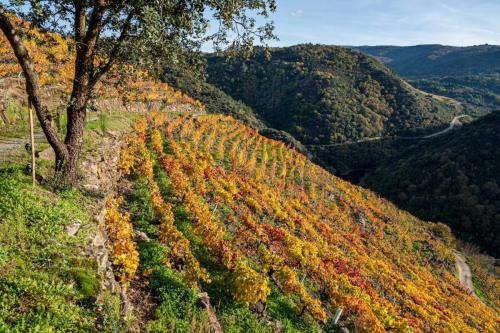 124476089 3412772405509656 3110074855893179907 o