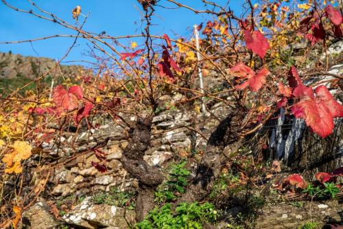 124540436 3412769905509906 638916517567756174 o