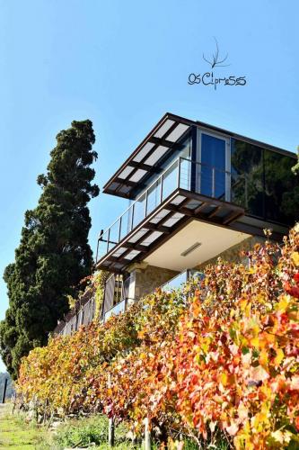 125235578 3955251891173032 1141266581363271082 o