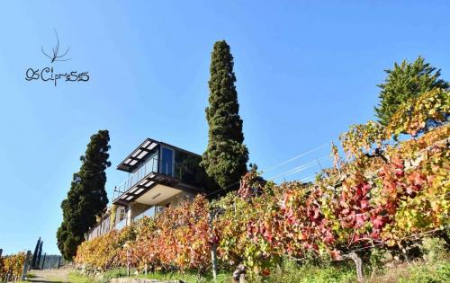 131503542 4047865788578308 8428340947854818071 o