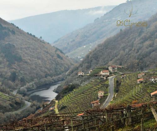 135935539 4094871433877743 8764609234050248409 o