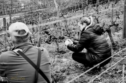 136691665 4103090119722541 7839455611910868828 o