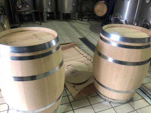 137621392 4114059821958904 7352306578068127454 o