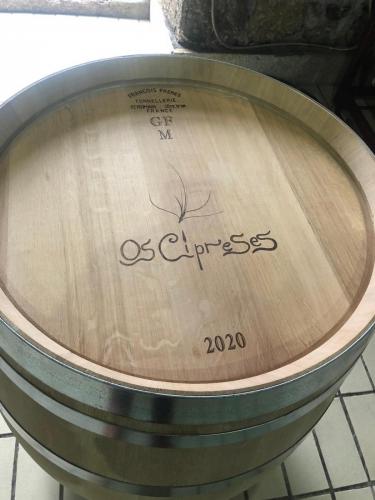 137645410 4114059815292238 6950155177621214387 o