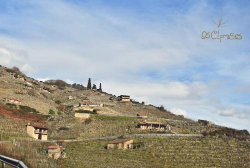 139694005 4133132000051686 8541008334336295605 o