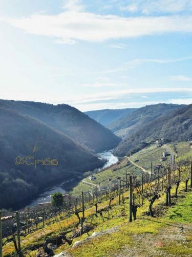 140049004 4133140806717472 8891255050969624626 o