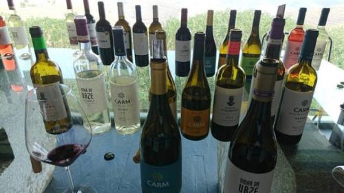 21083700 10155521726398405 7652293575493600395 o-1024x576