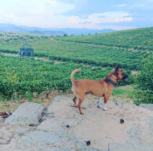 21105643 10155521919548405 1013819029841425855 n-1