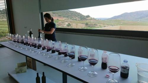 21122618 10155526780753405 4285890746214450387 o-1024x576