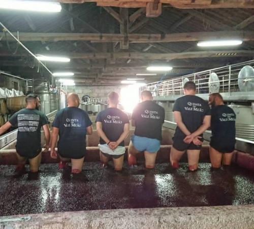 21151727 10155526373843405 7153402002853716920 n