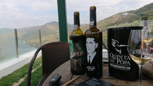 21167166 10155530429318405 3227150794492225148 o-1024x576