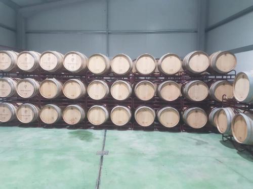 2b238f77-313a-4dab-bba4-ebd889d9257b