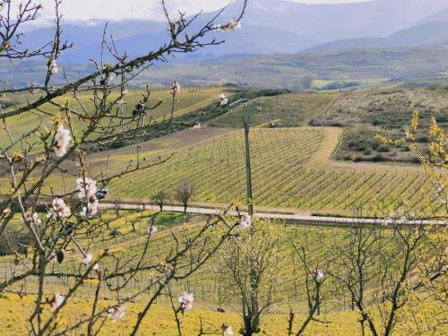 6cbbfc1e-7e75-4979-83e2-322407f66b34