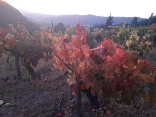 71230815 1375431399290181 3095596845368344576 n