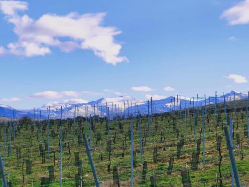 7a164c9d-2e43-46ab-9863-fd5542ec73bc